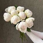 Свежих 9 белых пионов под ленту  - Фотография 8