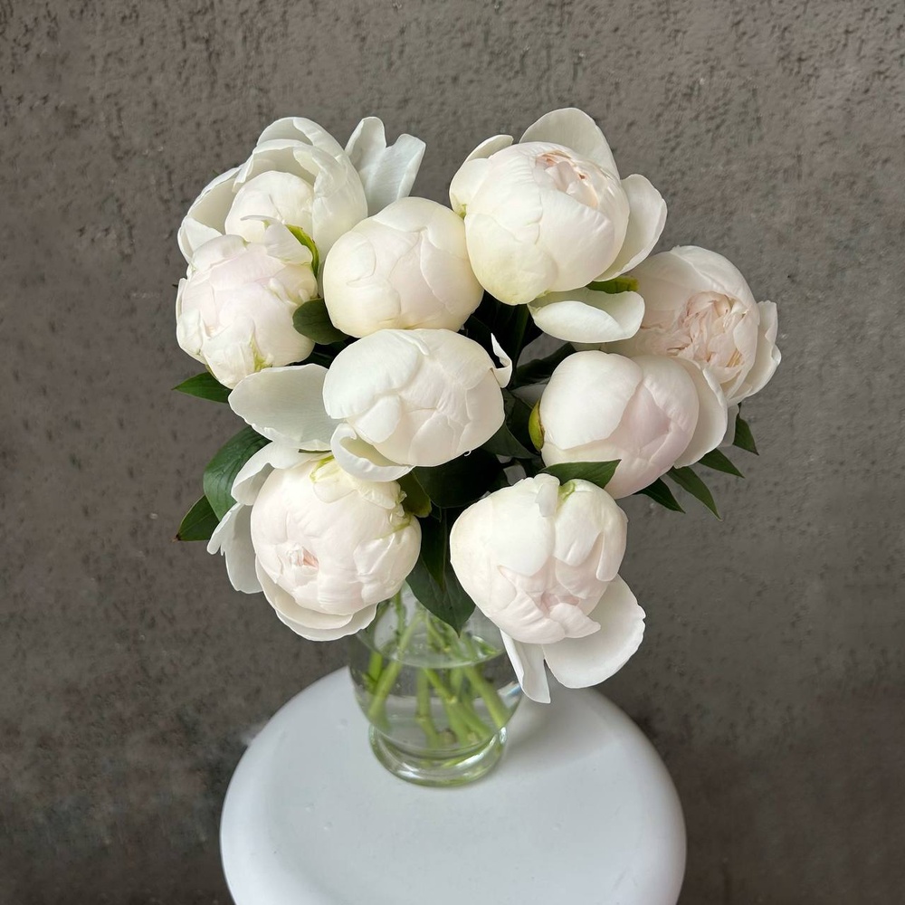 Свежих 9 белых пионов под ленту 