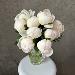 Свежих 9 белых пионов под ленту  - Фотография 3