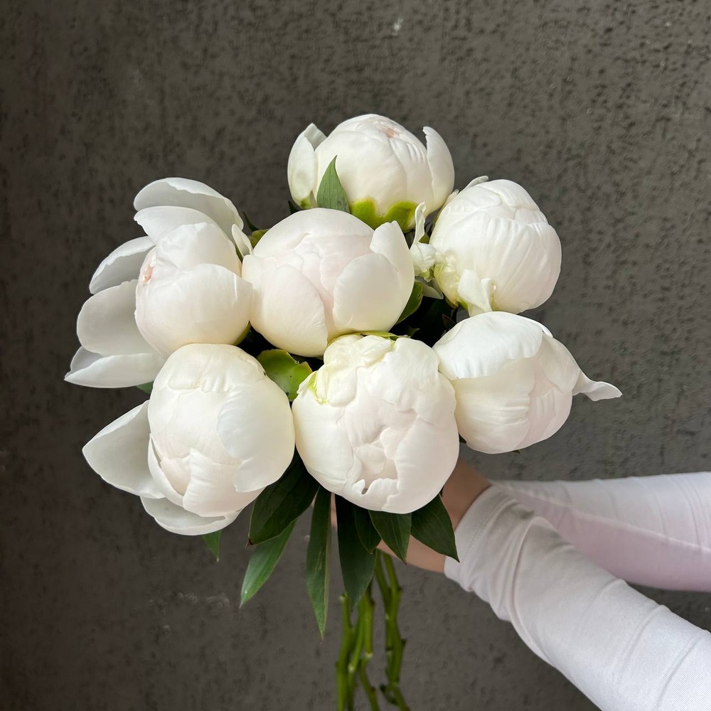 Свежих 7 белых пионов под ленту 