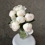Свежих 7 белых пионов под ленту  - Фотография 3 Свежих 7 белых пионов под ленту  - Фотография 3