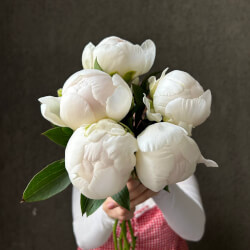 Букет «Свежих 5 белых пионов под ленту » Букет «Свежих 5 белых пионов под ленту »