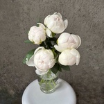 Свежих 5 белых пионов под ленту  - Фотография 4