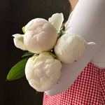 Свежих 3 белых пиона под ленту  - Фотография 2