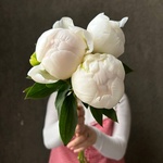 Свежих 3 белых пиона под ленту  - Фотография 1