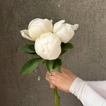 Свежих 3 белых пиона под ленту  - Фотография 7