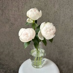 Свежих 3 белых пиона под ленту  - Фотография 4