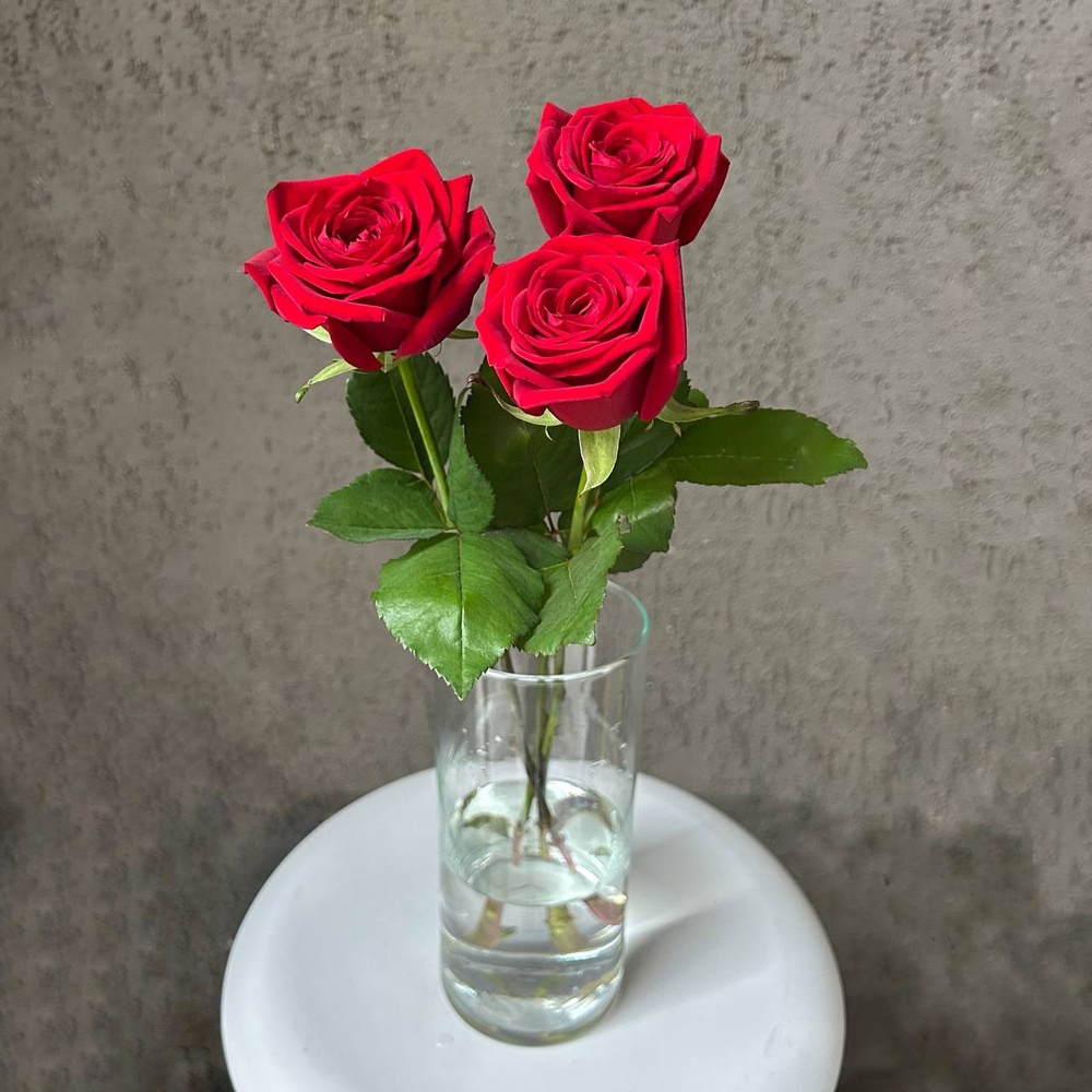 Нескучная классика: 3 красные розы в матовой пленке