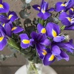 Конечно, Вася! Букет ирисов в упаковке - Фотография 11