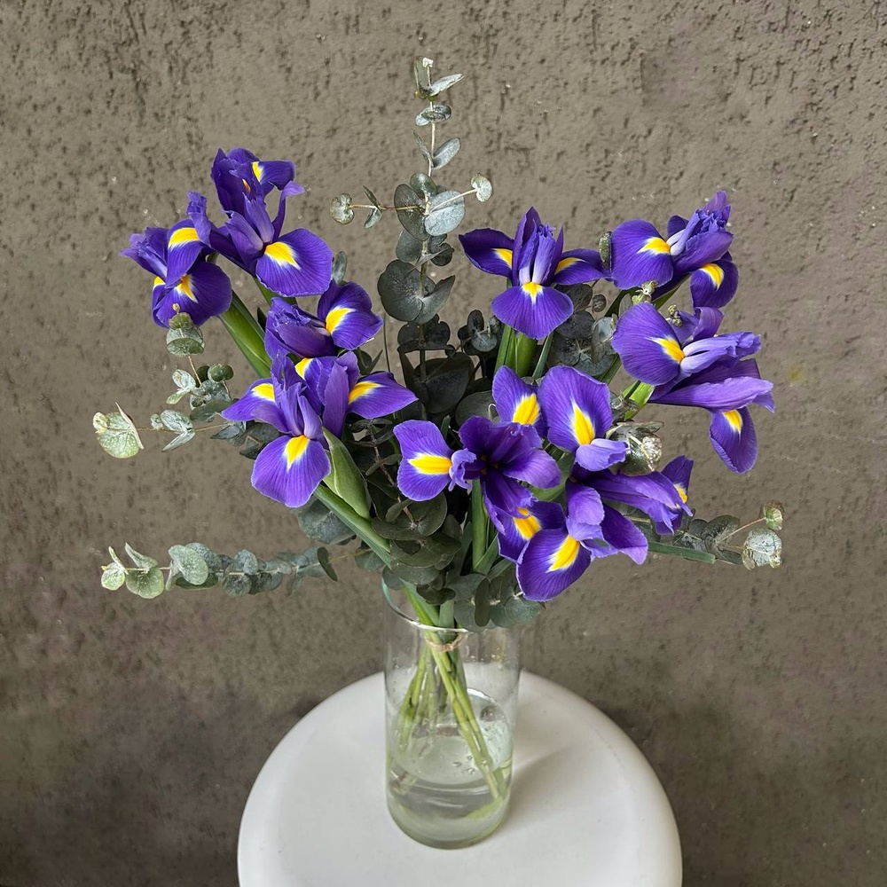 Конечно, Вася! Букет ирисов в упаковке