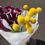 Вечеринка художников: цветы тёмные каллы и жёлтая краспедия с доставкой в Санкт-Петербурге - Фотография 2