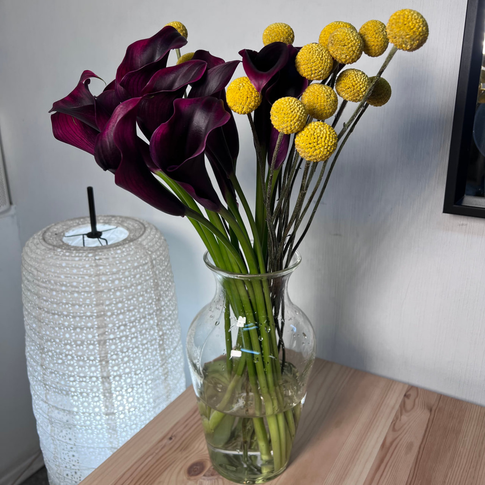 Вечеринка художников: тёмные каллы и жёлтая краспедия