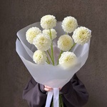 Белые помпоны черлидеров: букет из георгинов - Фотография 1