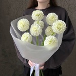 Белые помпоны черлидеров: букет из георгинов - Фотография 5