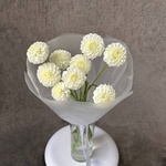 Белые помпоны черлидеров: букет из георгинов - Фотография 2