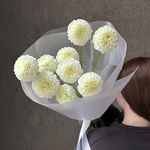 Белые помпоны черлидеров: букет из георгинов - Фотография 10