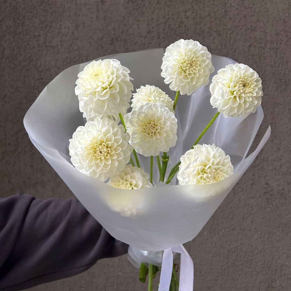 Белые помпоны черлидеров: букет из георгинов