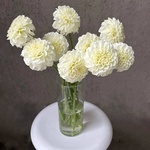 Белые помпоны черлидеров: букет из георгинов - Фотография 3