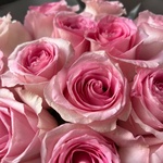 Пинк Муд: букет из 15 розовых роз - Фотография 6 Пинк Муд: букет из 15 розовых роз - Фотография 6