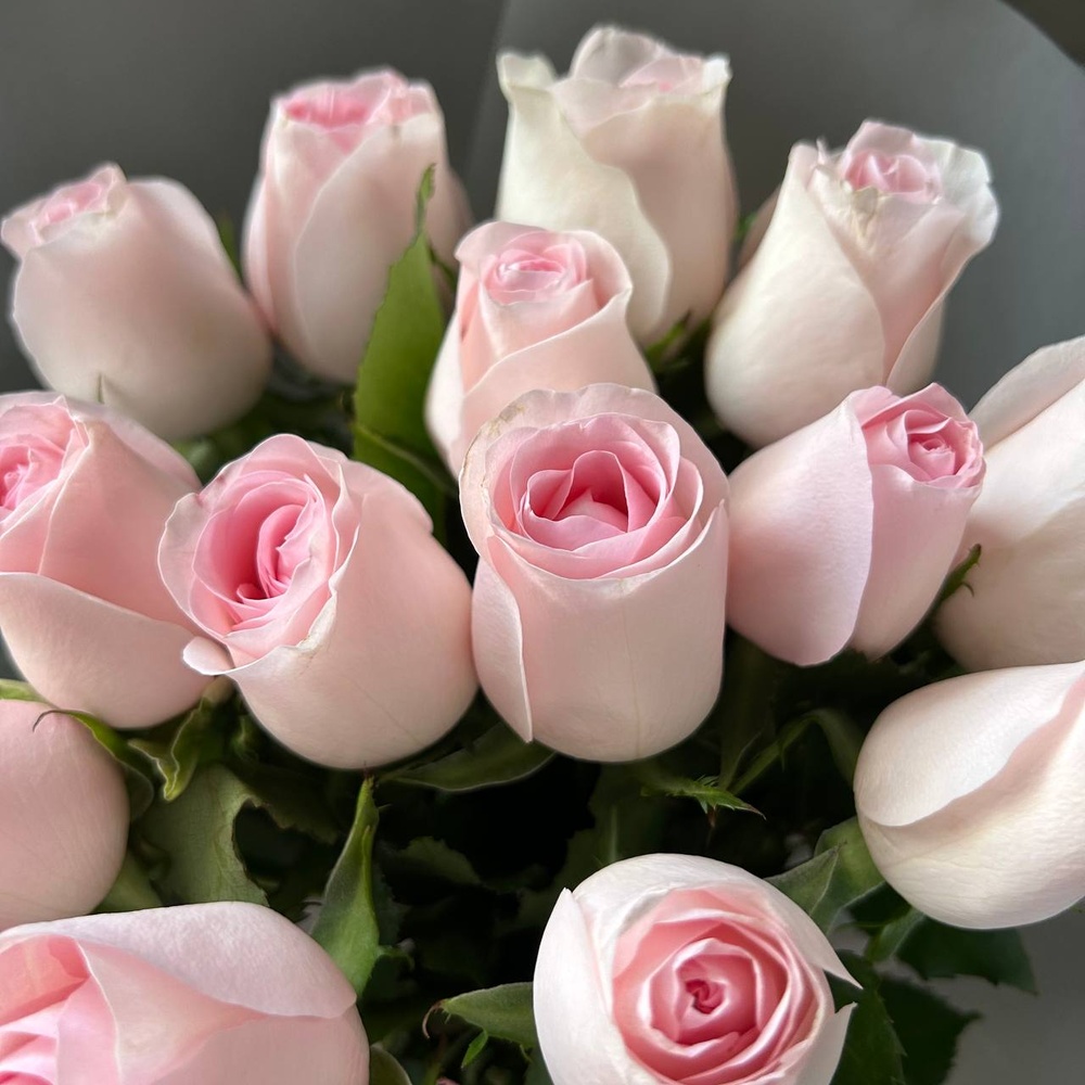 Фламенко: букет из кенийской розы 40 см, 15 цветков