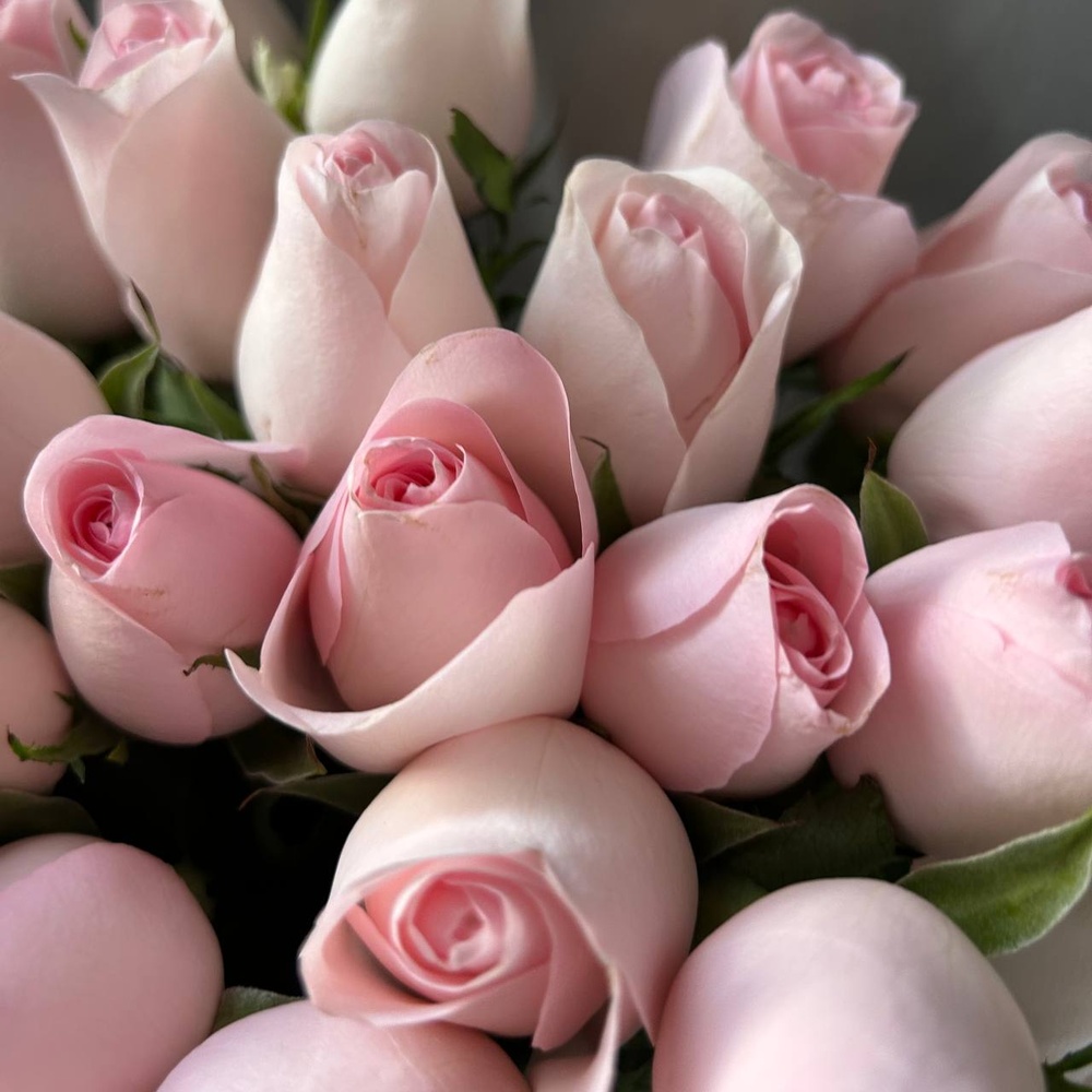 Фламенко: букет из кенийской розы 40 см, 25 цветков