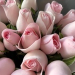 Фламенко: букет из кенийской розы 40 см, 25 цветков - Фотография 6