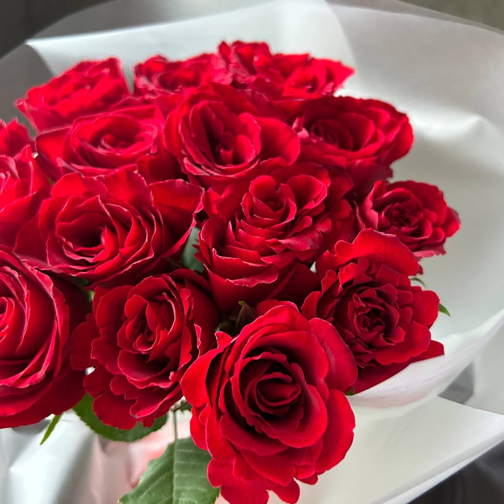 Алые уста: букет из красных кенийских роз 40 см, 15 цветков