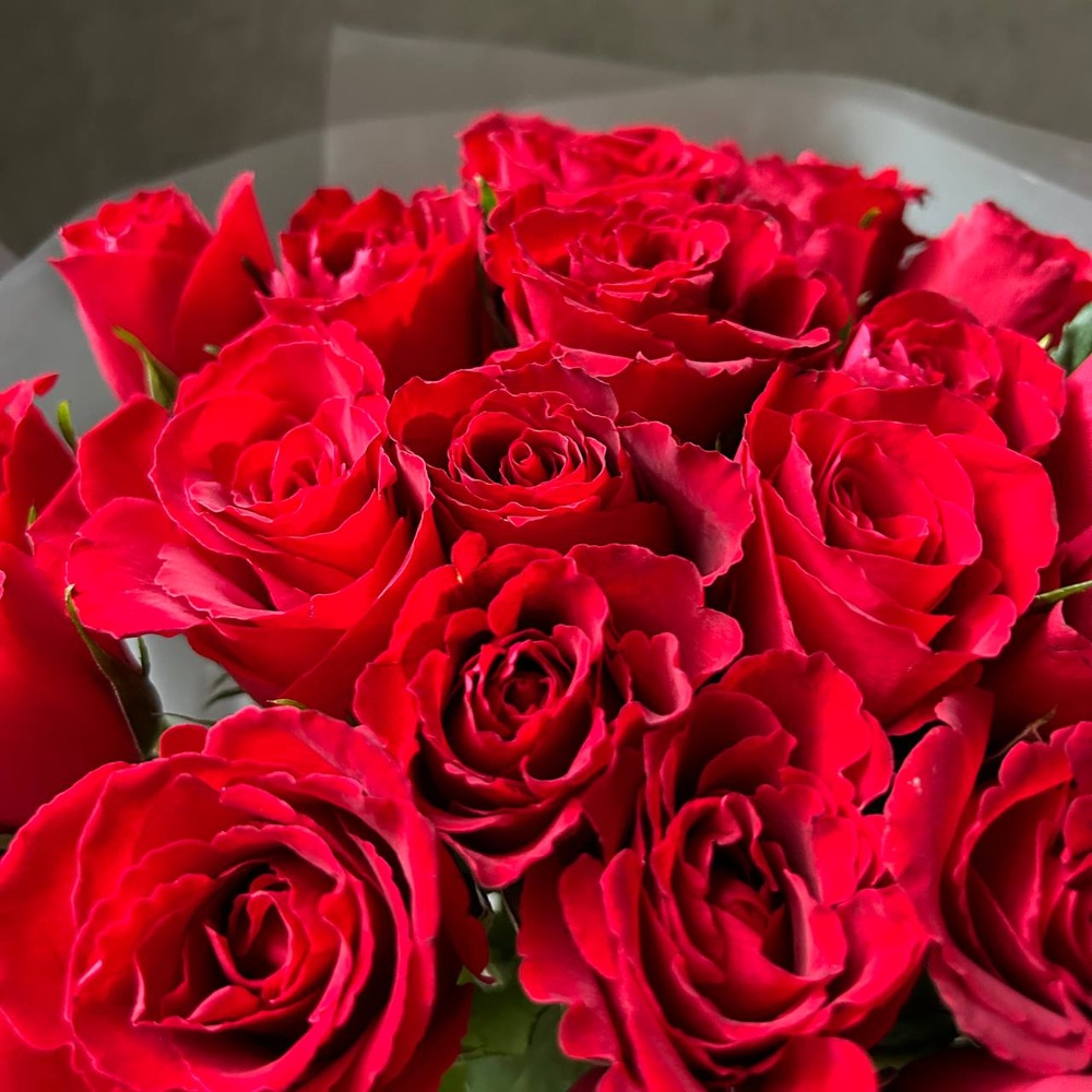 Алые уста: букет из красных кенийских роз 40 см, 25 цветков