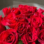 Алые уста: букет из красных кенийских роз 40 см, 25 цветков - Фотография 13