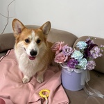 По следам: шляпная коробка с фактурной розой Фейт, каллами и диантусами + ИГРУШКА ДЛЯ СОБАКИ В ПОДАРОК! - Фотография 2