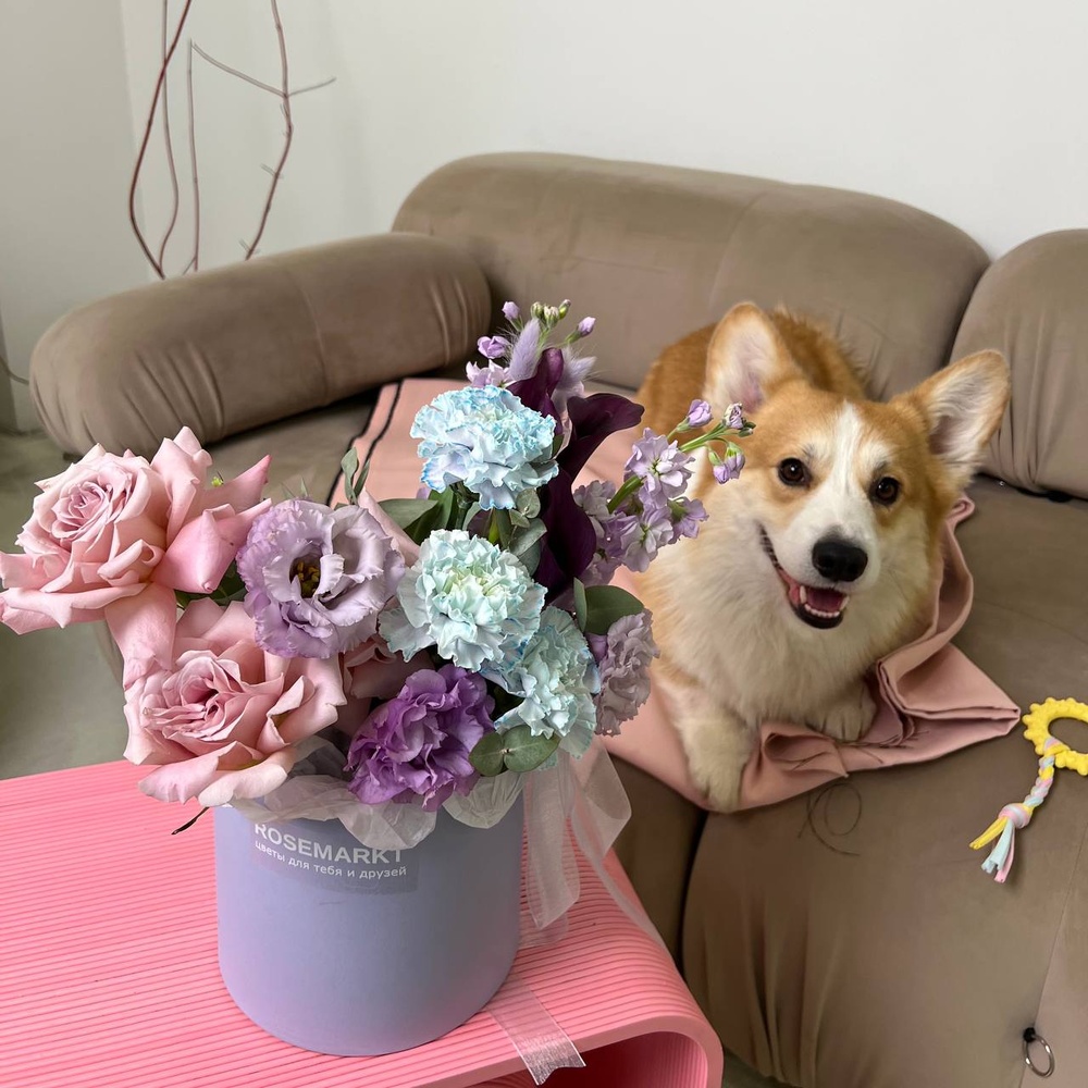 По следам: шляпная коробка с фактурной розой Фейт, каллами и диантусами + ИГРУШКА ДЛЯ СОБАКИ В ПОДАРОК!