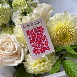 Отличники! Авторские букеты к 1 сентября - Фотография 4