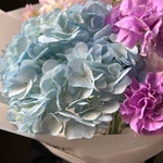 Большая перемена - Фотография 9