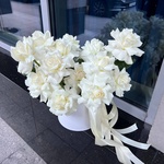 Утро после текилы - Фотография 4