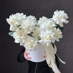 Утро после текилы - Фотография 1