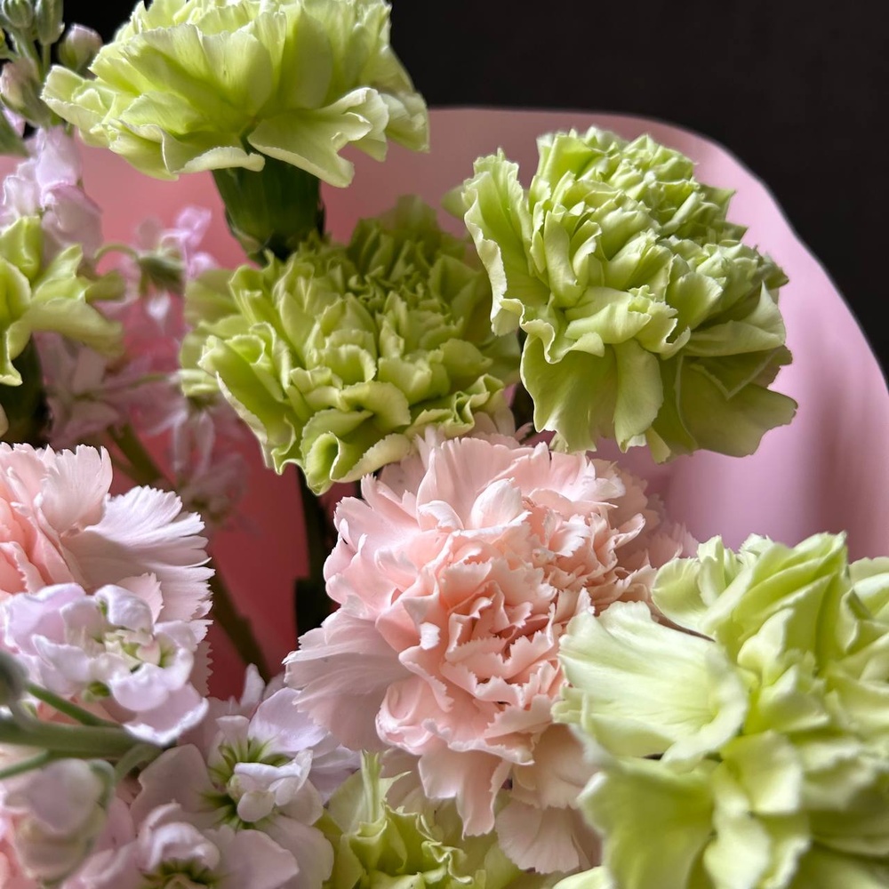 Купил по дороге домой