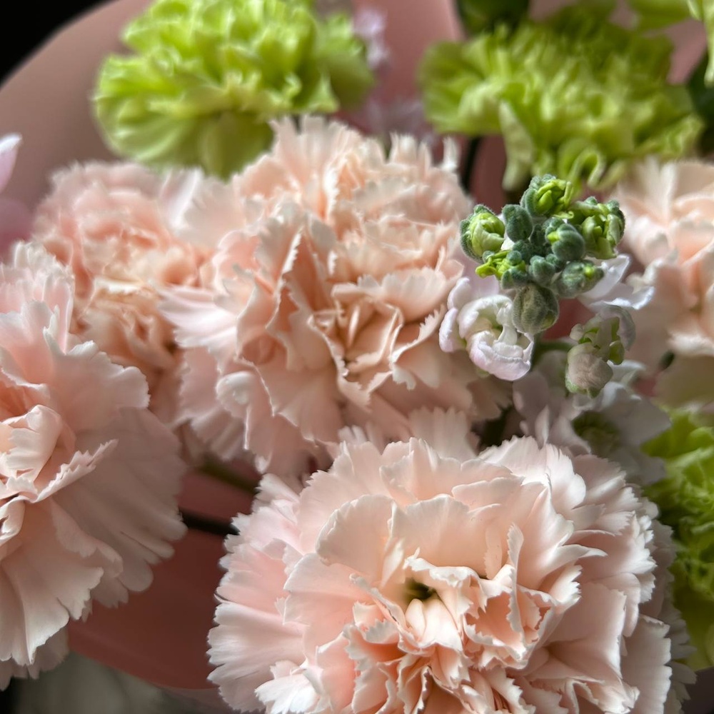 Купил по дороге домой