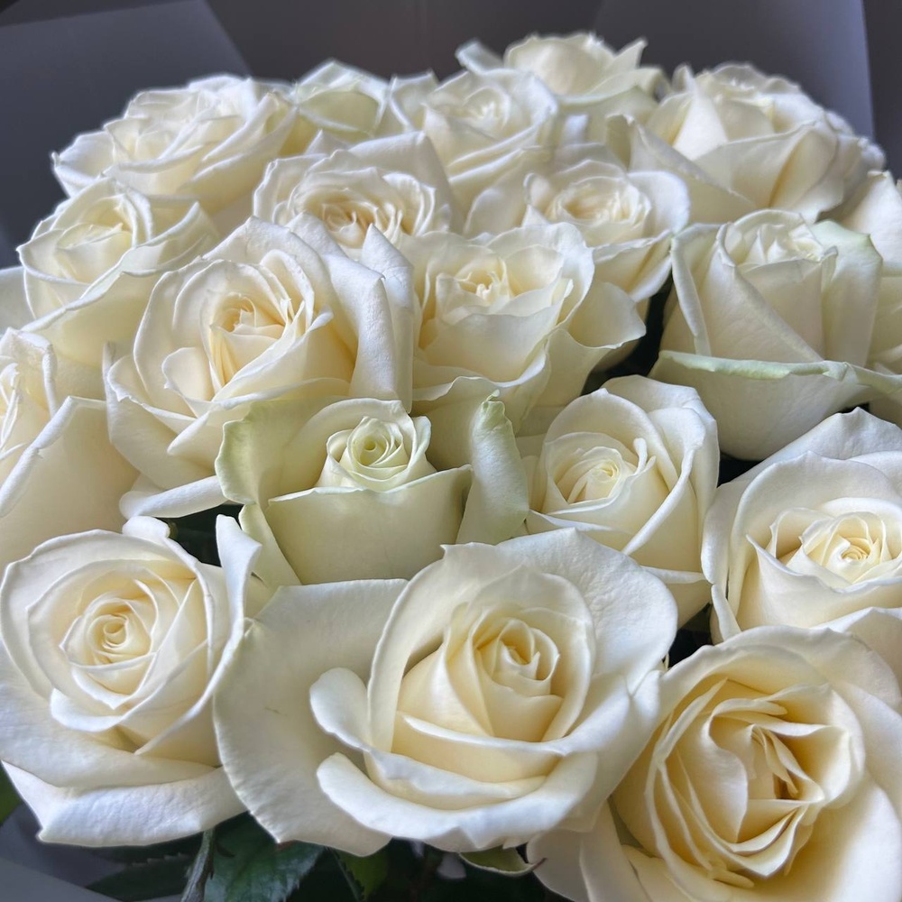 Цветы 25 белых роз с доставкой по СПб от Розмаркт