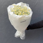 Цветы 9 матрикарий (ромашек) с доставкой по СПб от Розмаркт - Фотография 4