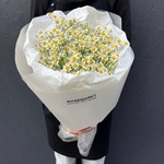 Цветы 9 матрикарий (ромашек) с доставкой по СПб от Розмаркт - Фотография 1