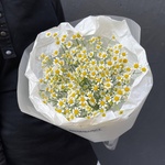 Цветы 9 матрикарий (ромашек) с доставкой по СПб от Розмаркт - Фотография 2