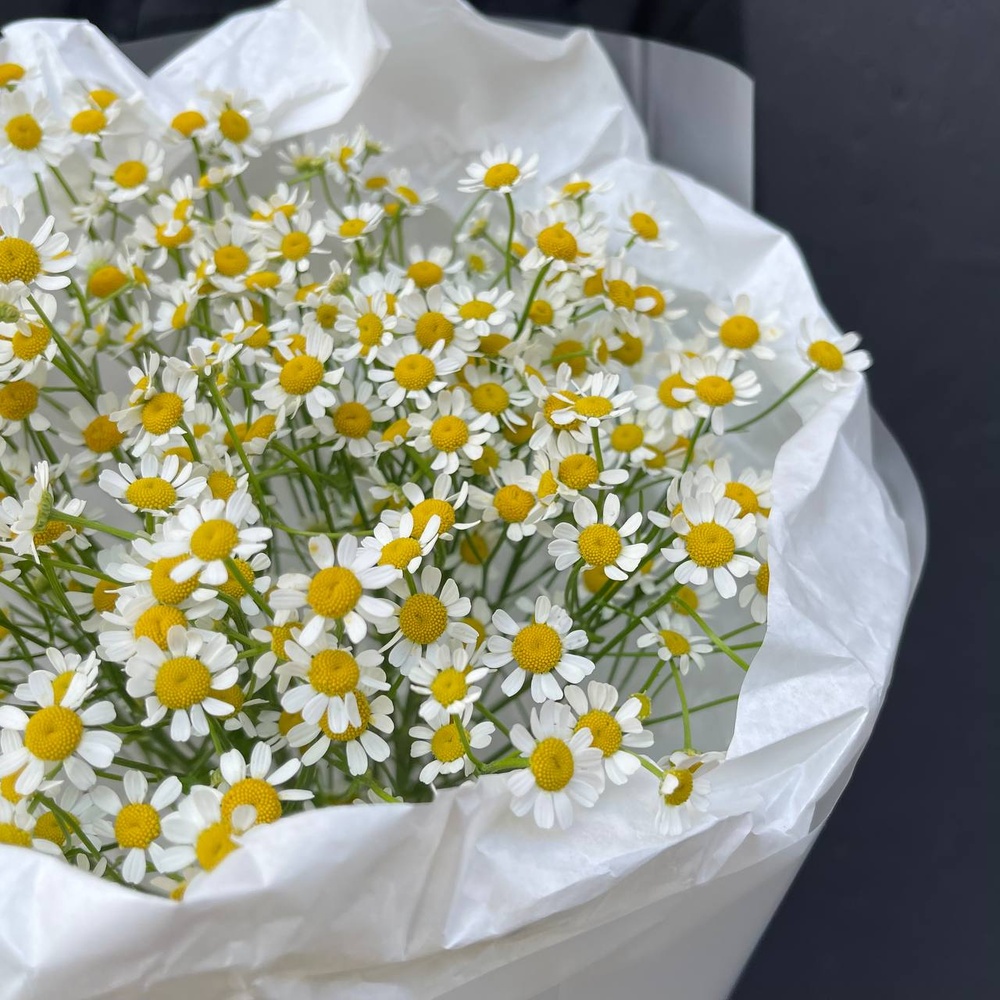 Цветы 9 матрикарий (ромашек) с доставкой по СПб от Розмаркт