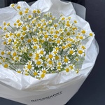 Цветы 9 матрикарий (ромашек) с доставкой по СПб от Розмаркт - Фотография 5