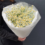 Цветы 15 матрикарий (ромашек) с доставкой по СПб от Розмаркт - Фотография 6