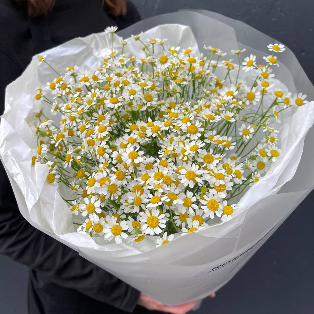 Цветы 15 матрикарий (ромашек) с доставкой по СПб от Розмаркт