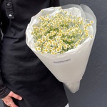 Цветы 15 матрикарий (ромашек) с доставкой по СПб от Розмаркт - Фотография 4