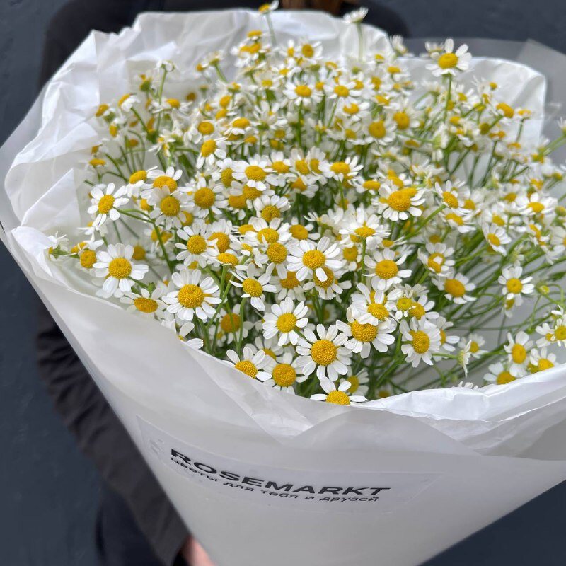 Цветы 15 матрикарий (ромашек) с доставкой по СПб от Розмаркт