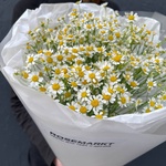 Цветы 15 матрикарий (ромашек) с доставкой по СПб от Розмаркт - Фотография 2