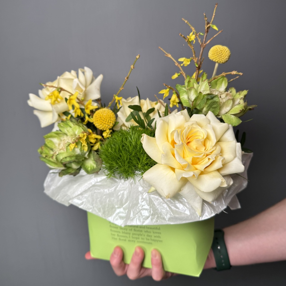 Шляпная Коробка Недели «Эффект бабочки»