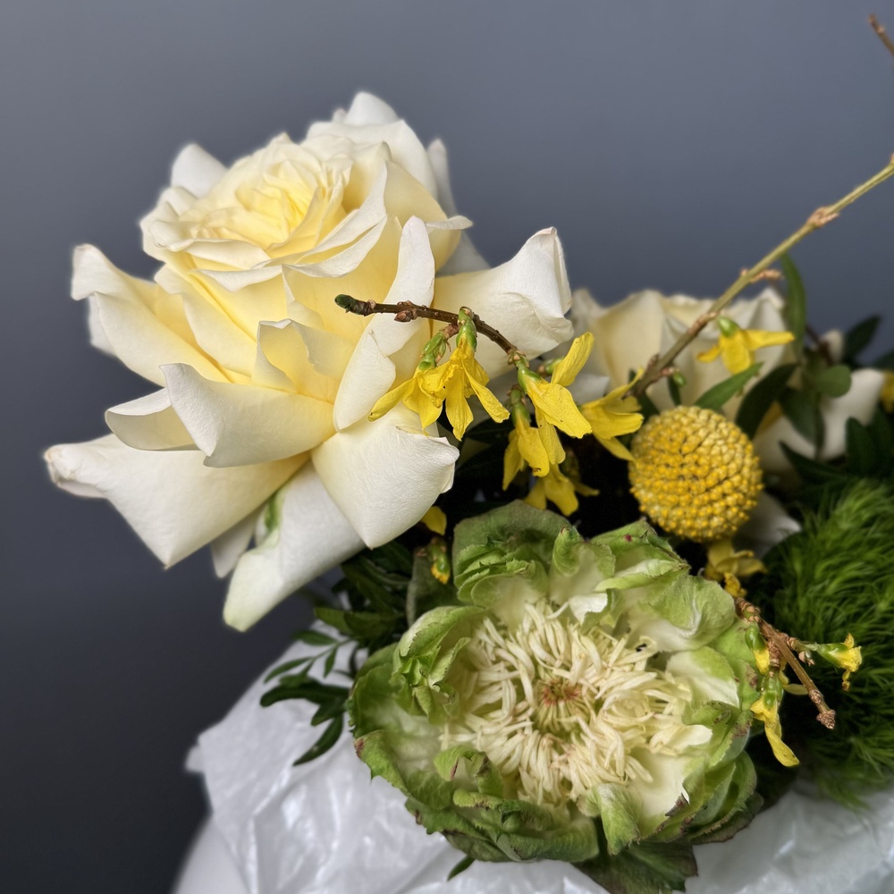 Шляпная Коробка Недели «Эффект бабочки»